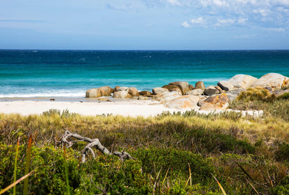 Matakana Organic Wakame & Mekabu Seaweed Powder 100g - 1st Stop Marshall's Health Shop, Gift Shop! - Heath and Natural Therapy New Brighton Christchurch - Naturopath
