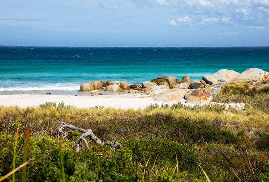 Matakana Organic Wakame & Mekabu Seaweed Powder 100g - 1st Stop Marshall's Health Shop, Gift Shop! - Heath and Natural Therapy New Brighton Christchurch - Naturopath
