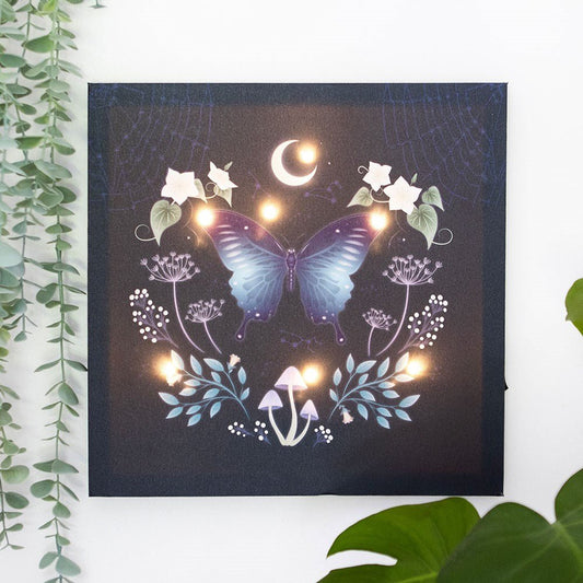 Midnight Moth Light Up Canvas Plaque - 1st Stop Marshall's Health Shop, Gift Shop! - Heath and Natural Therapy New Brighton Christchurch - Naturopath