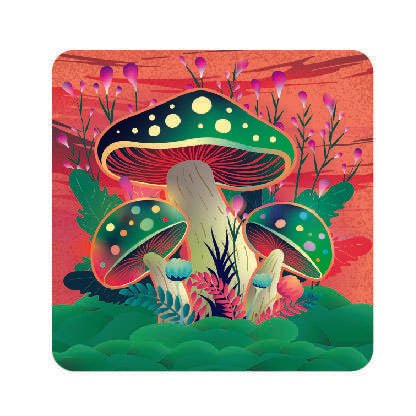 Mushroom Coasters Set - MarshallsHealthShop