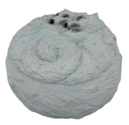 Mystical Wolves Trinket Box - MarshallsHealthShop