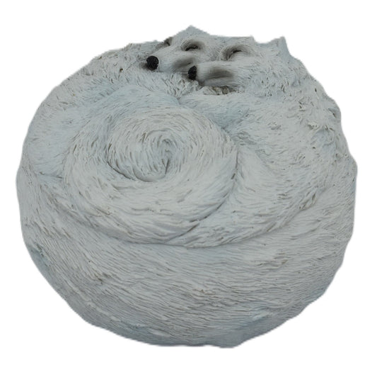 Mystical Wolves Trinket Box - MarshallsHealthShop