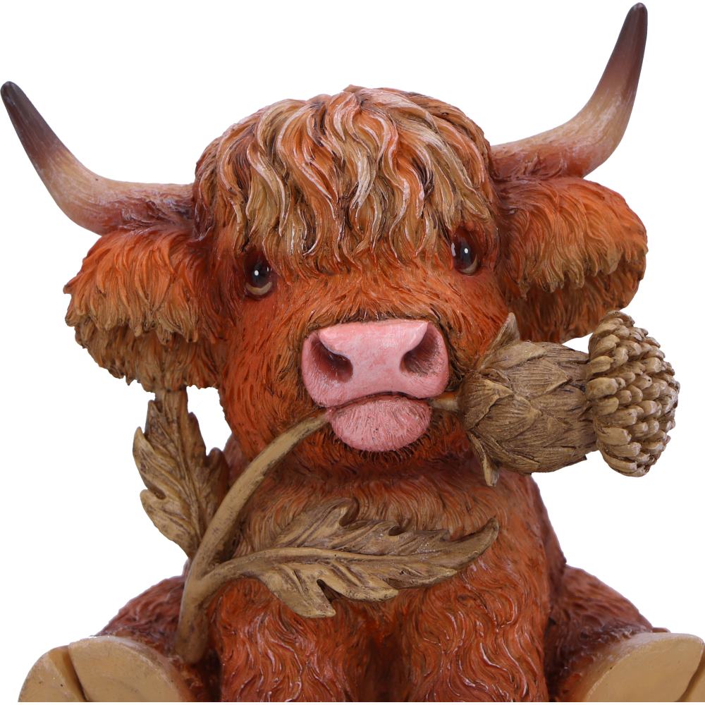Nemesis Now Highland Thistle 10.5cm - MarshallsHealthShop