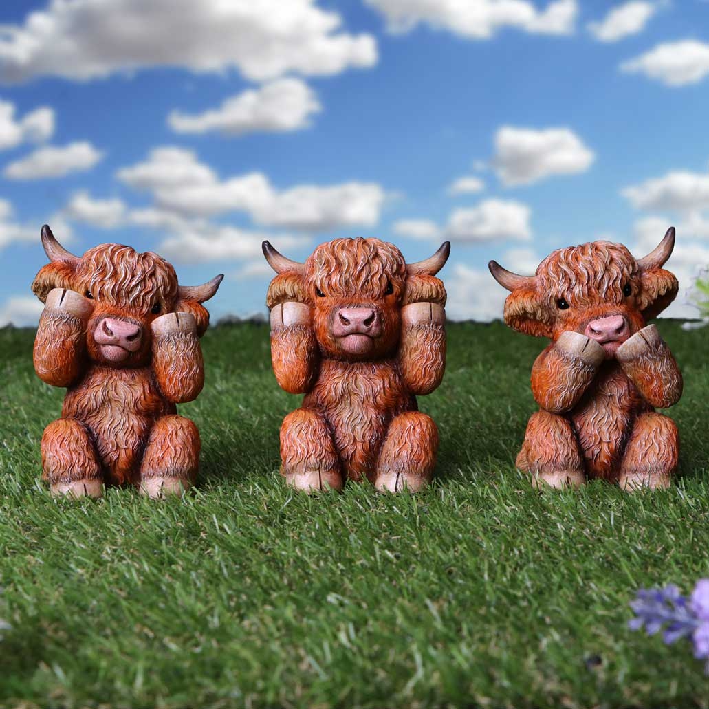 Nemesis Now Three Wise Highland Cows 9.6cm - 1st Stop Marshall's Health Shop, Gift Shop! - Heath and Natural Therapy New Brighton Christchurch - Naturopath