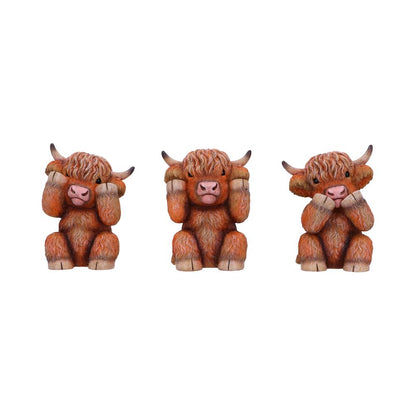Nemesis Now Three Wise Highland Cows 9.6cm - 1st Stop Marshall's Health Shop, Gift Shop! - Heath and Natural Therapy New Brighton Christchurch - Naturopath