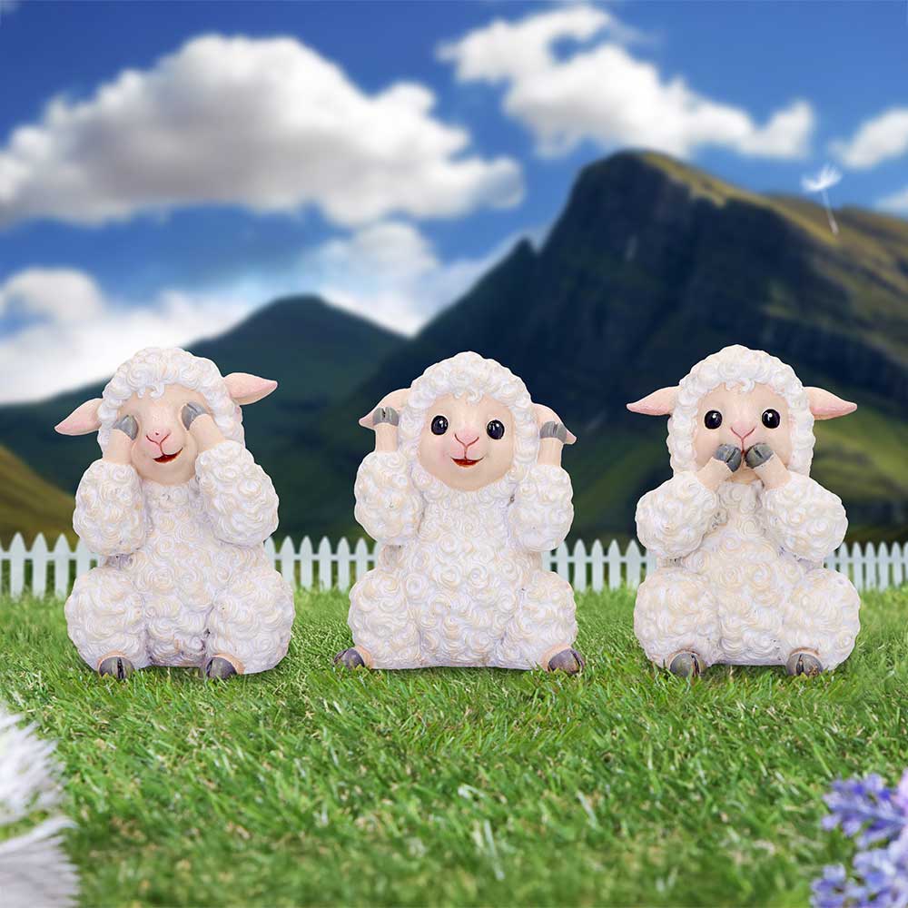 Nemesis Now Three Wise Sheep 8.5cm - 1st Stop Marshall's Health Shop, Gift Shop! - Heath and Natural Therapy New Brighton Christchurch - Naturopath