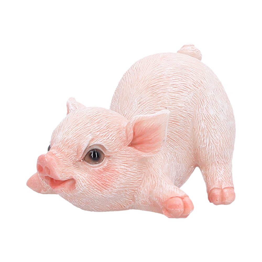 Nemesis Now Truffle Mini Pig Figurine 5.5cm - 1st Stop Marshall's Health Shop, Gift Shop! - Heath and Natural Therapy New Brighton Christchurch - Naturopath