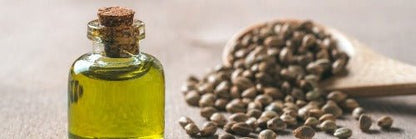 OMEGANZ Hemp Seed Oil 250ml Hemp Seed Oil is often touted as a ‘miracle food’. The undisputed truth is that this unique oil contains more than 75 percent polyunsaturated essential fatty acids (PUFA’s). Featuring a composition of Essential Fatty Acids (EFAs) – LA (Omega 6) and ALA (Omega 3) in a 3:1 ratio. It also contains smaller amounts of Gamma Linolenic Acid (GLA), and Stearidonic Acid (SDA), which are biological metabolites of the Omega 6 and Omega 3 EFAs respectively.