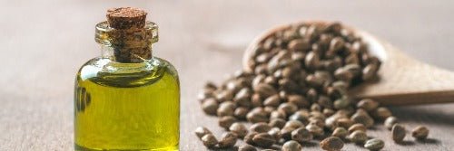 OMEGANZ Hemp Seed Oil 250ml Hemp Seed Oil is often touted as a ‘miracle food’. The undisputed truth is that this unique oil contains more than 75 percent polyunsaturated essential fatty acids (PUFA’s). Featuring a composition of Essential Fatty Acids (EFAs) – LA (Omega 6) and ALA (Omega 3) in a 3:1 ratio. It also contains smaller amounts of Gamma Linolenic Acid (GLA), and Stearidonic Acid (SDA), which are biological metabolites of the Omega 6 and Omega 3 EFAs respectively.