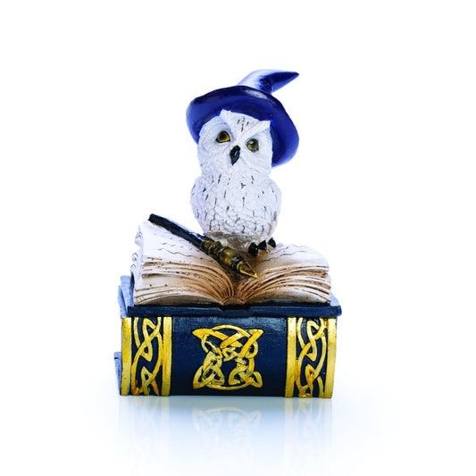 Owl Book Trinket Box - MarshallsHealthShop