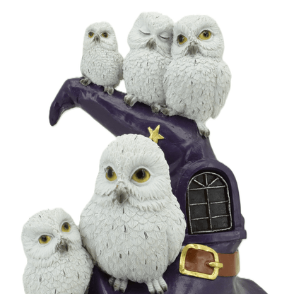 Owls on Wizard Hat with LED Light - MarshallsHealthShop