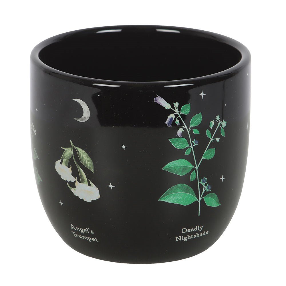 Poisonous Plants Ceramic Plant Pot - MarshallsHealthShop