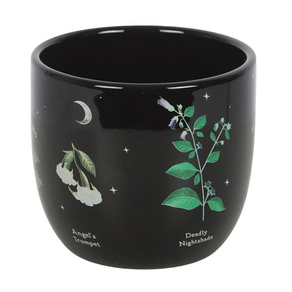 Poisonous Plants Ceramic Plant Pot - MarshallsHealthShop