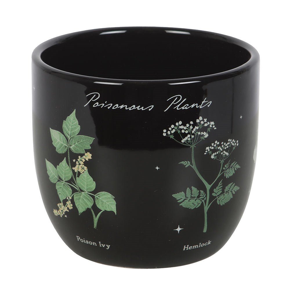 Poisonous Plants Ceramic Plant Pot - MarshallsHealthShop