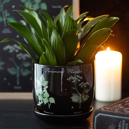 Poisonous Plants Ceramic Plant Pot - MarshallsHealthShop