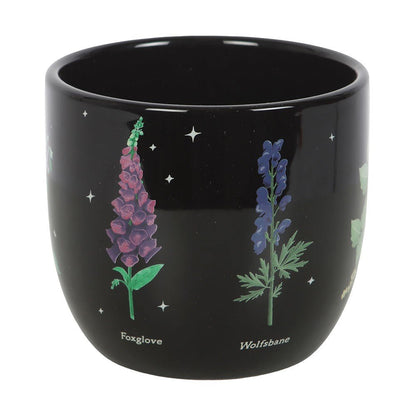 Poisonous Plants Ceramic Plant Pot - MarshallsHealthShop