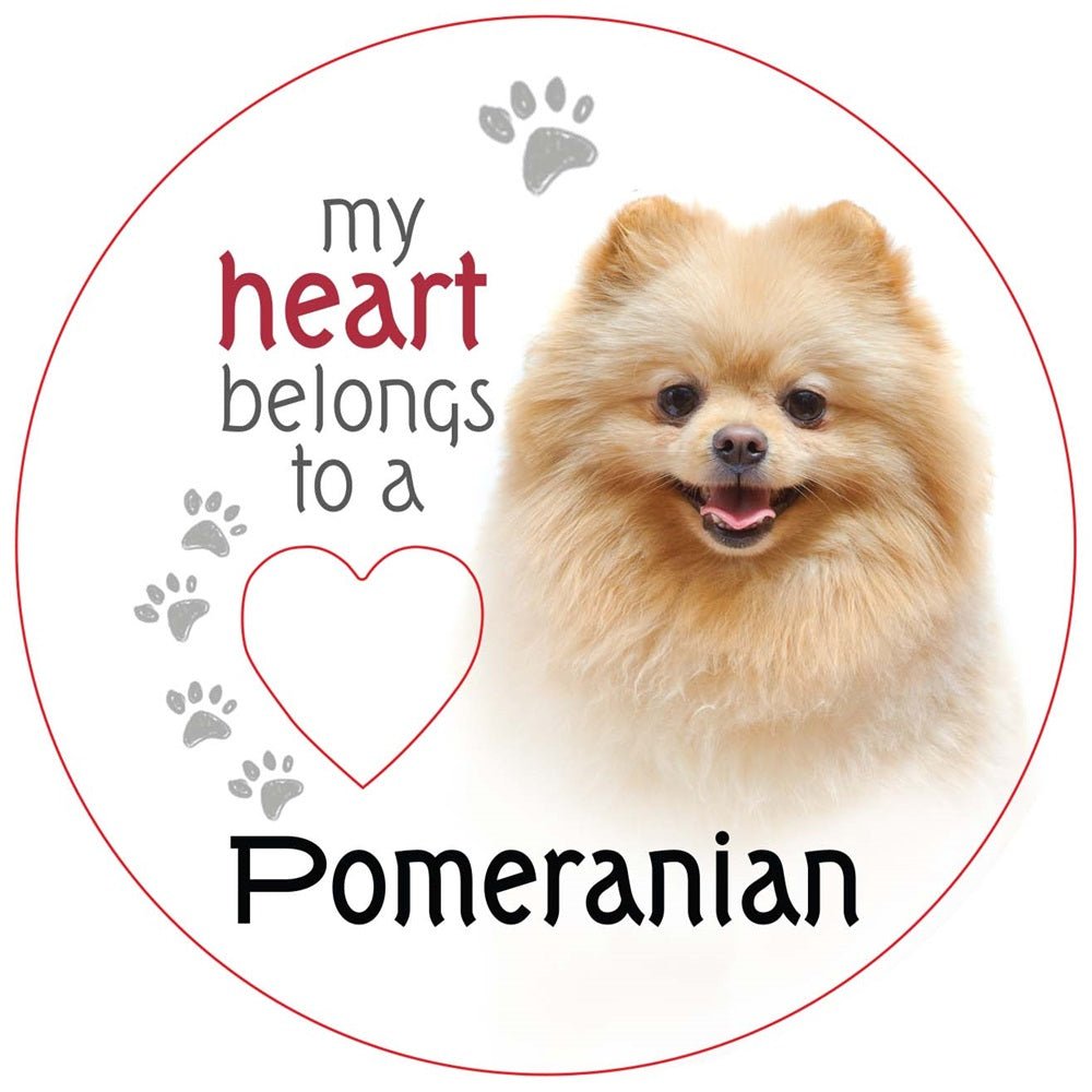 Pomeranian Piece of My Heart Magnet - MarshallsHealthShop