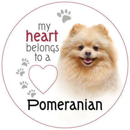 Pomeranian Piece of My Heart Magnet - MarshallsHealthShop