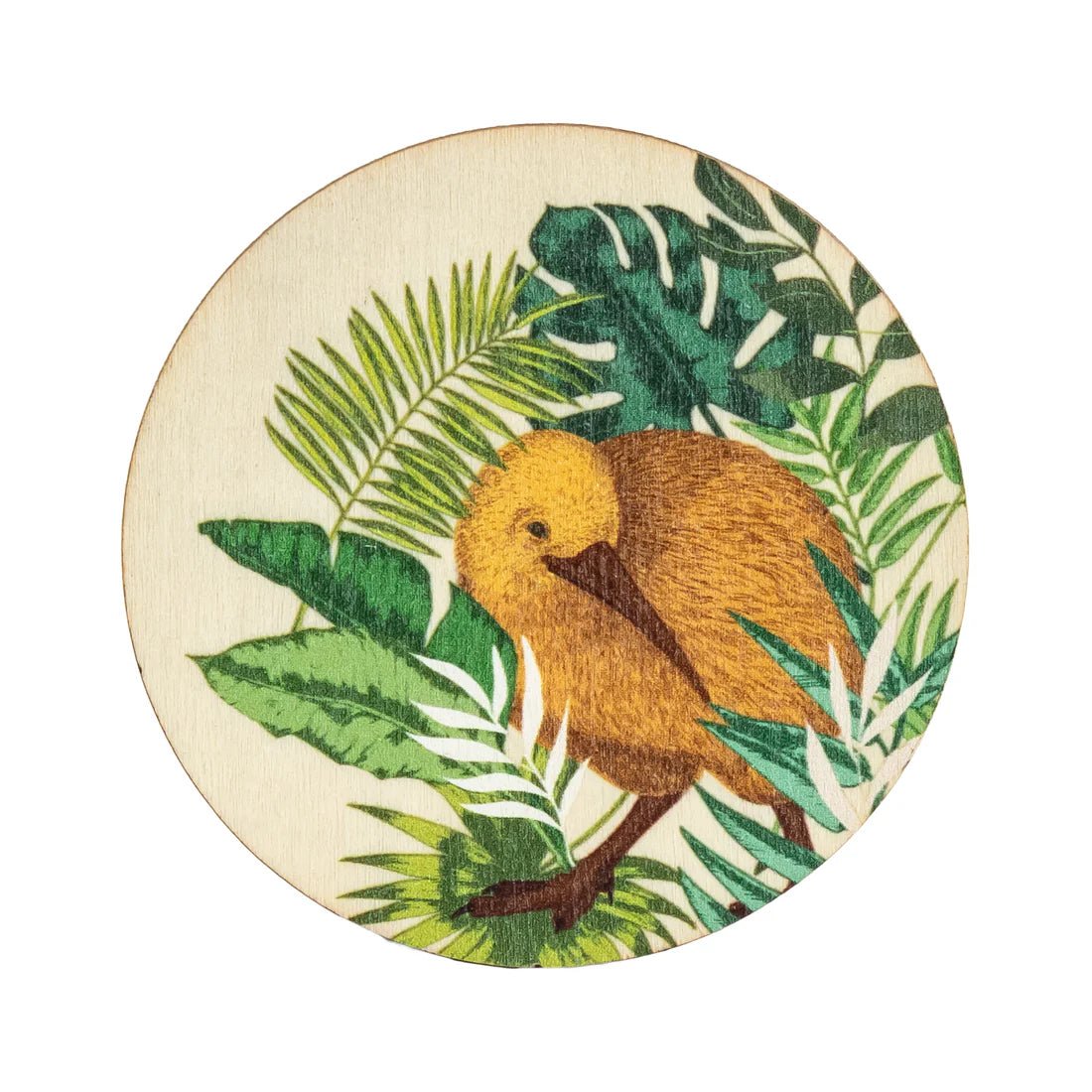 POP Magnet Wooden Kiwi Tropics Round - MarshallsHealthShop