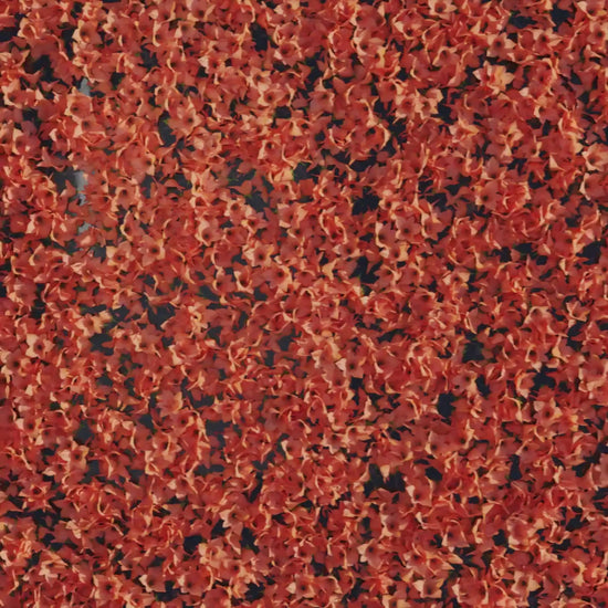 Codeage Multi Collagen Peptides + Probiotics is an advanced multi-collagen supplement in a powder format, featuring 5 types of collagen sourced from 5 different food sources, along with vitamin C, probiotics, and hyaluronic acid—all in one.
1st Stop, Marshall's Health Shop!