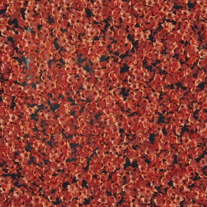 Codeage Multi Collagen Peptides + Probiotics is an advanced multi-collagen supplement in a powder format, featuring 5 types of collagen sourced from 5 different food sources, along with vitamin C, probiotics, and hyaluronic acid—all in one.
1st Stop, Marshall's Health Shop!