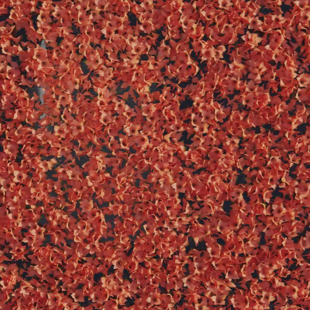 Codeage Multi Collagen Peptides + Probiotics is an advanced multi-collagen supplement in a powder format, featuring 5 types of collagen sourced from 5 different food sources, along with vitamin C, probiotics, and hyaluronic acid—all in one.
1st Stop, Marshall's Health Shop!