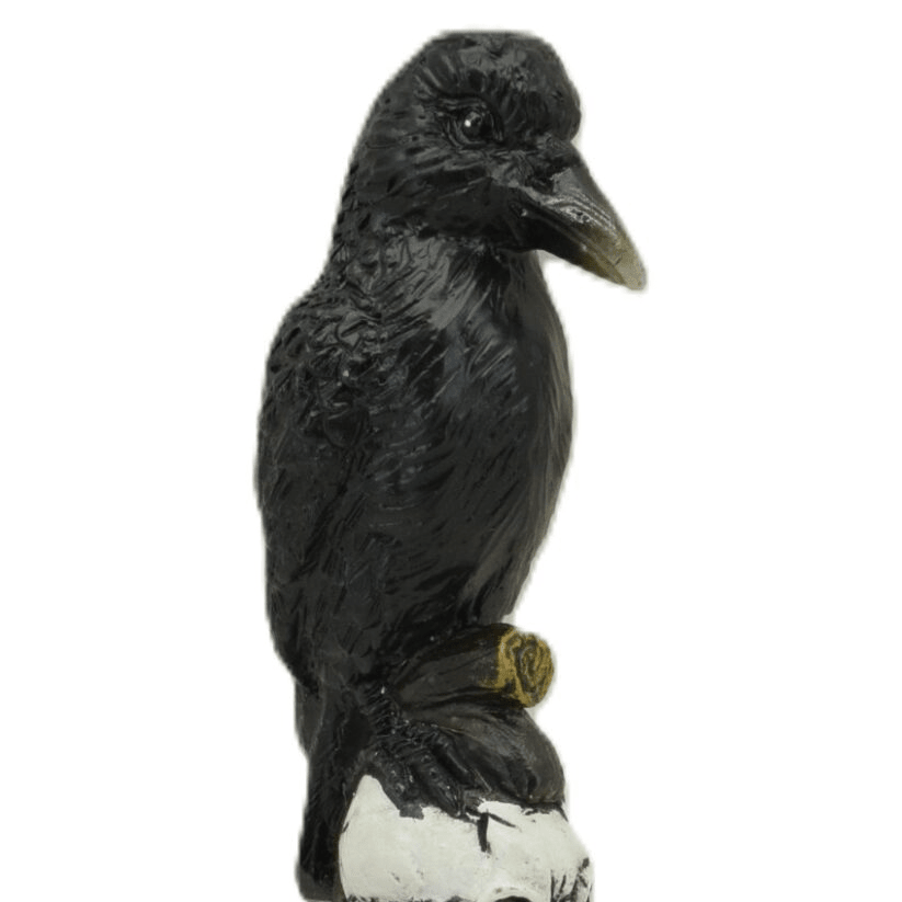 Raven on Skull Magick Wand - MarshallsHealthShop