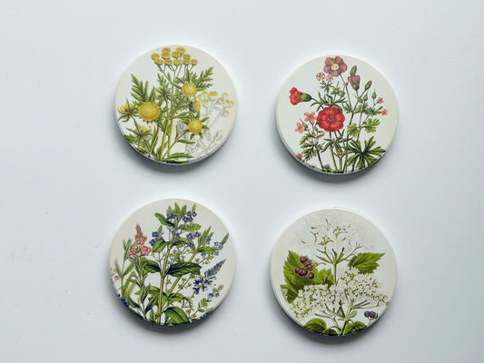 Salisbury Coasters Medicinal Plants 9cm (4) - 1st Stop Marshall's Health Shop, Gift Shop! - Heath and Natural Therapy New Brighton Christchurch - Naturopath