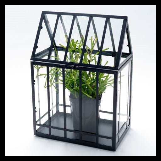 Salisbury Glasshouse large - MarshallsHealthShop