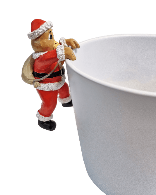 Salisbury Hanging Kiwi Santa - 1st Stop Marshall's Health Shop, Gift Shop! - Heath and Natural Therapy New Brighton Christchurch - Naturopath
