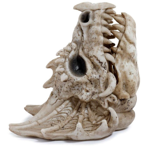 Shadows of Darkness Dragon Skull Cone Burner
Height 14cm Width 13cm Depth 11cm
1st Stop, Marshall's Health Shop, Gift Shop!

SKU: DRG531