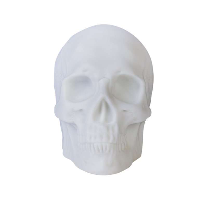 Skull Speaker - MarshallsHealthShop