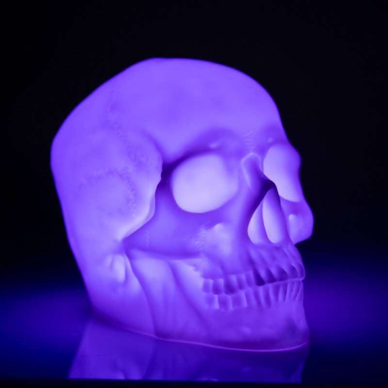 Skull Speaker
Spooky skull speaker with rainbow LED lights
HD sound through Bluetooth connectivity
Portable design and rechargeable battery

Gift your space the glow up it deserves with this vibrant neon light skull speaker! A spooky addition to any room, pump your favourite tunes in HD sound through convenient Bluetooth connectivity. This rainbow, colour changing skull will be sure to entertain with its rechargeable battery and portability!

10.50(L) x 14.80(W) x 13.20(H) cm
Colour box
1st Stop, Marshall's