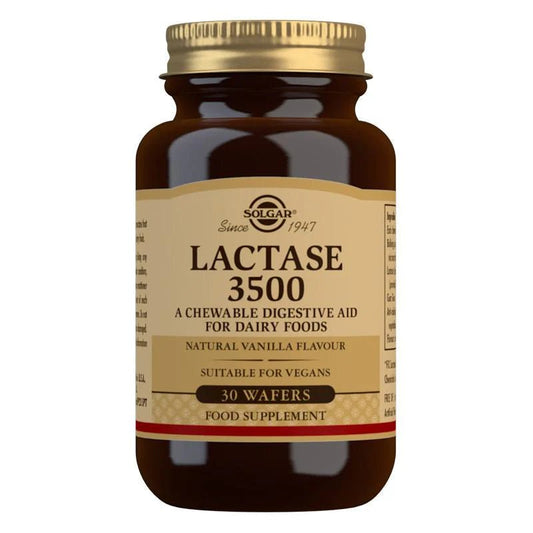 Solgar Lactase 3500 Wafers 30's - 1st Stop Marshall's Health Shop, Gift Shop! - Heath and Natural Therapy New Brighton Christchurch - Naturopath