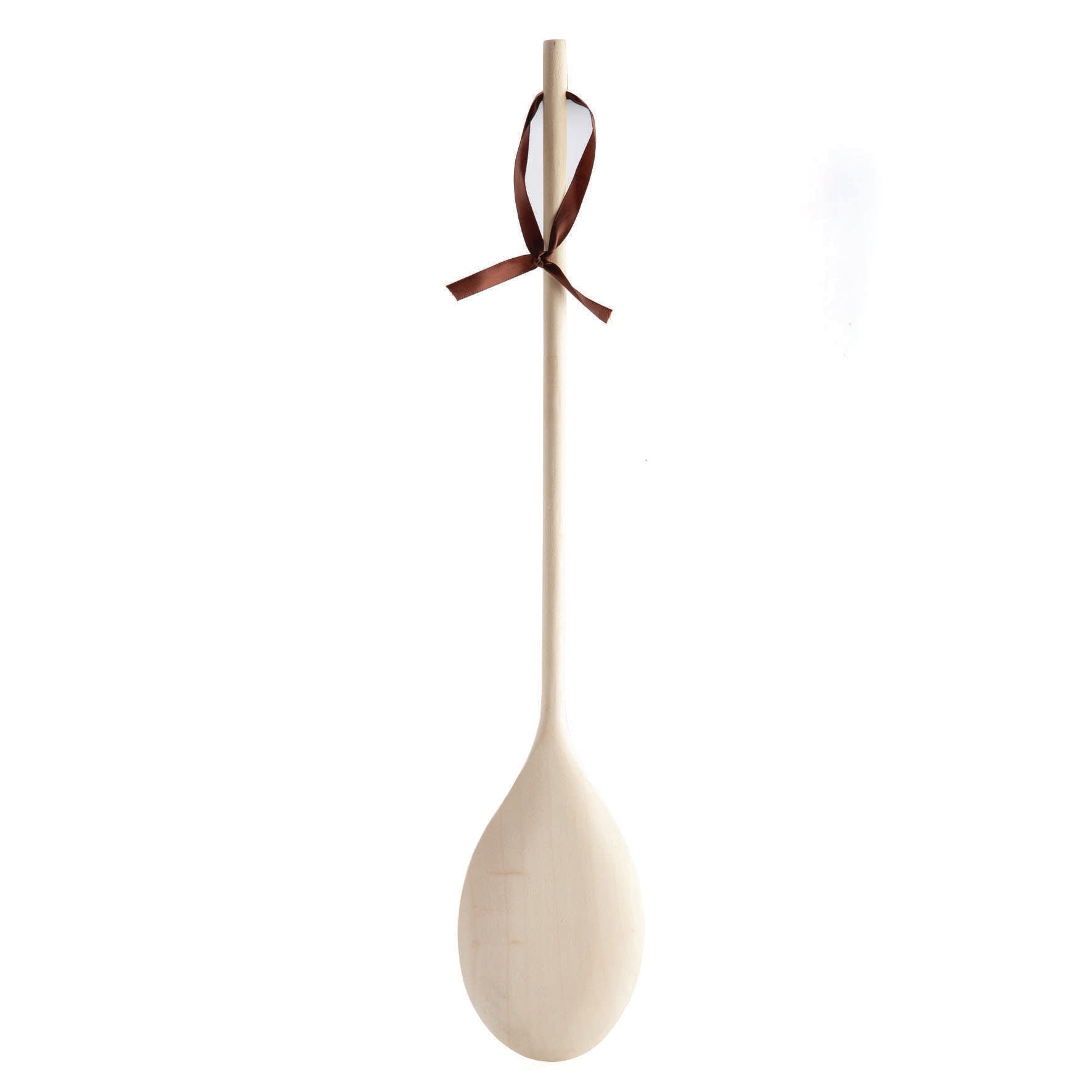 Spanking Spoon World's Greatest Shit Stirrer - MarshallsHealthShop