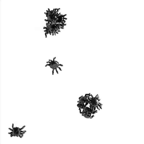 Spider Creeblers - MarshallsHealthShop