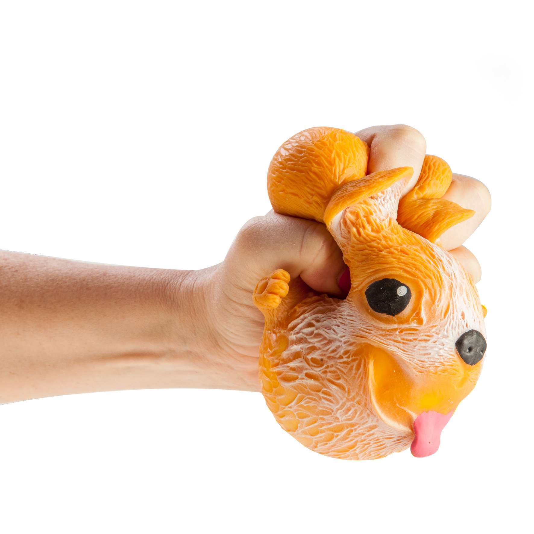 Squishy Dog - MarshallsHealthShop