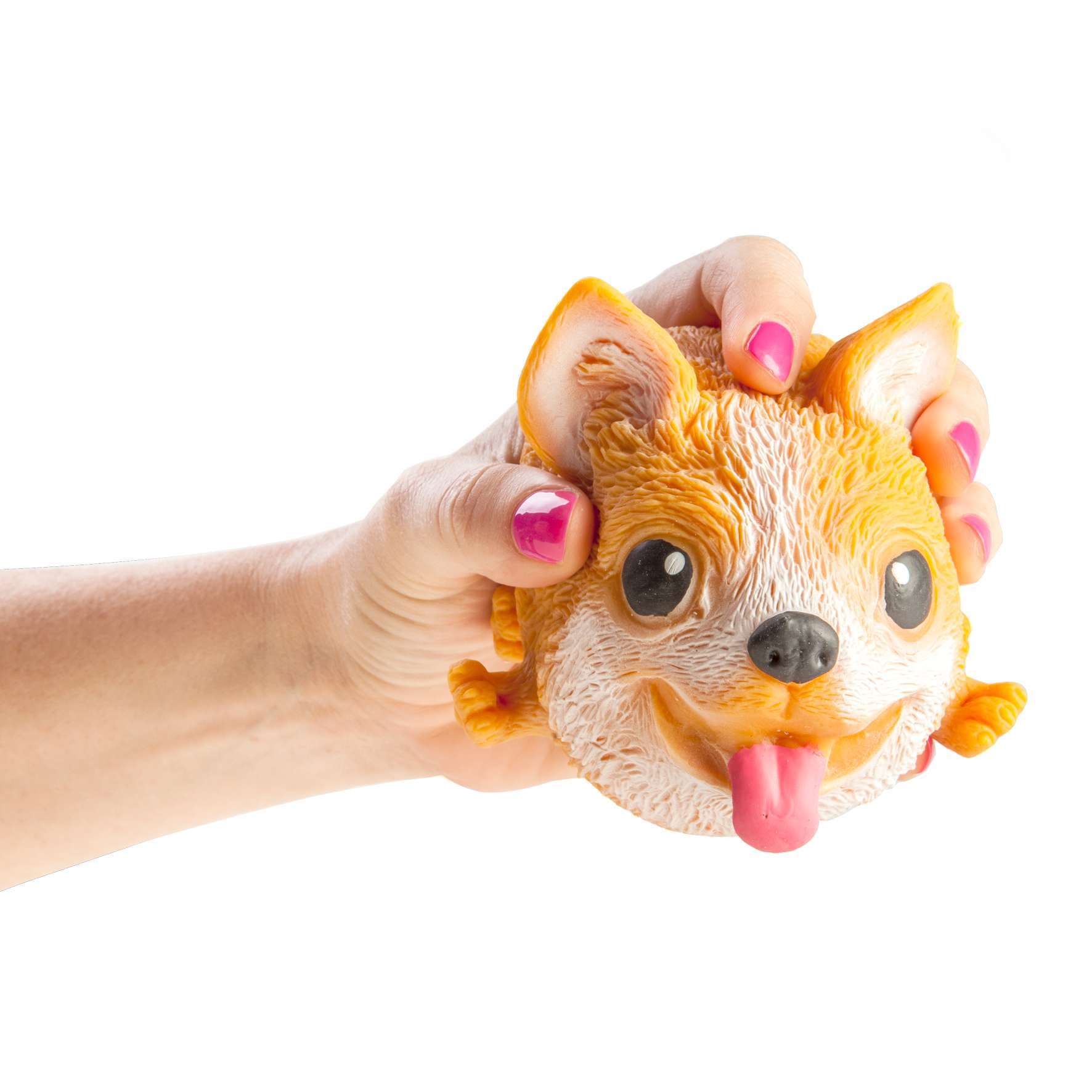 Squishy Dog - MarshallsHealthShop