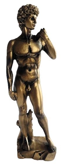Statue of David Bronze# - 1st Stop Marshall's Health Shop, Gift Shop! - Heath and Natural Therapy New Brighton Christchurch - Naturopath#