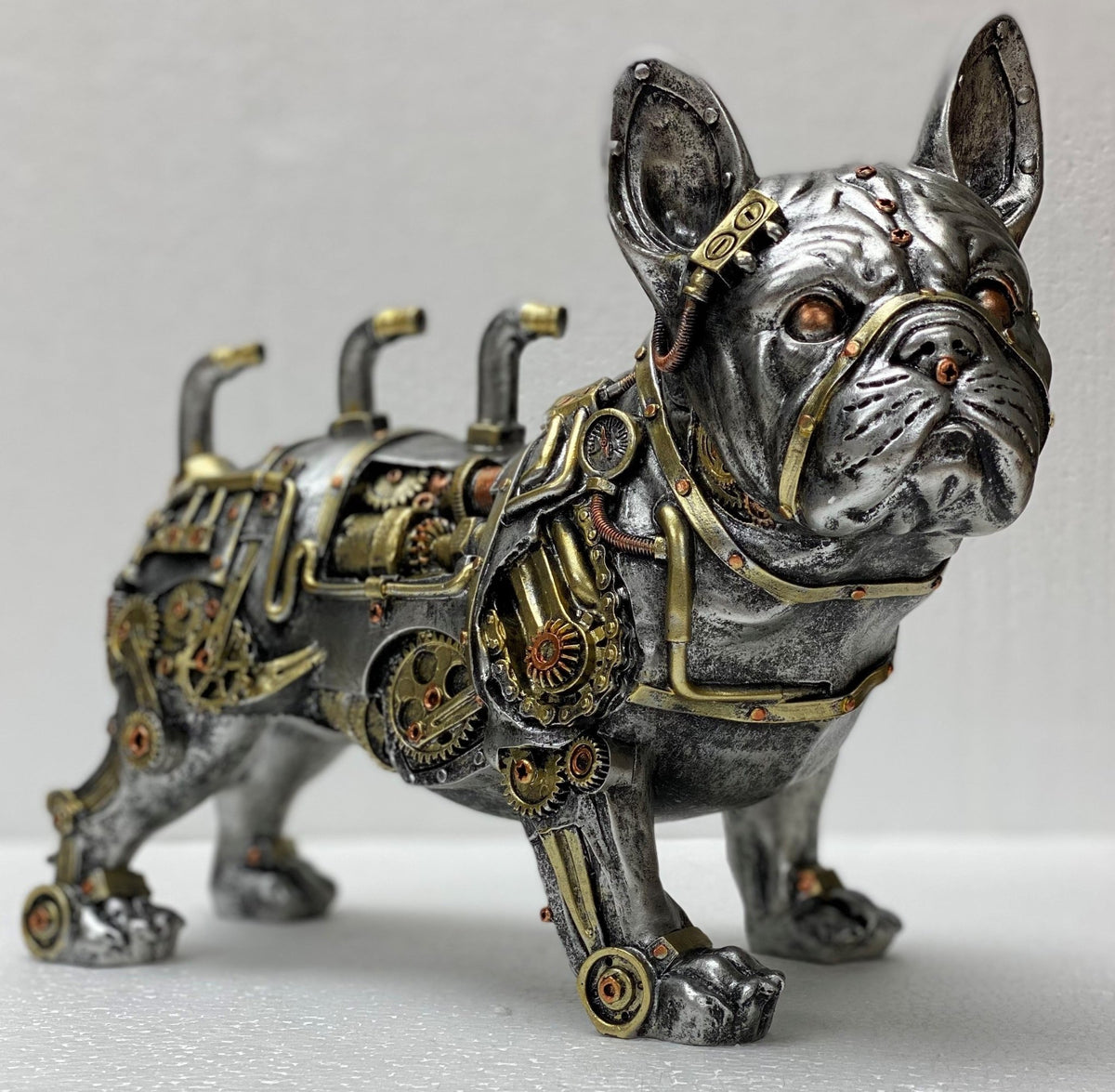 Steampunk Dog - 1st Stop Marshall's Health Shop, Gift Shop! - Heath and Natural Therapy New Brighton Christchurch - Naturopath
