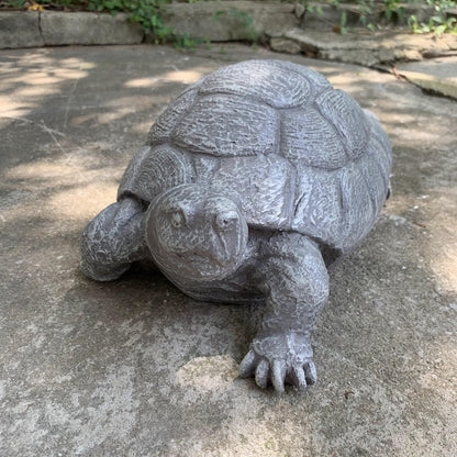 Turtle Polyresin - MarshallsHealthShop