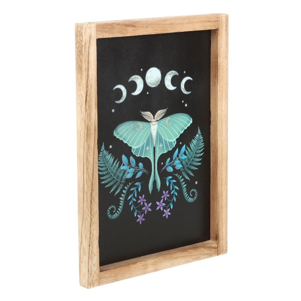Wall Art Luna Moth Wooden Framed - MarshallsHealthShop