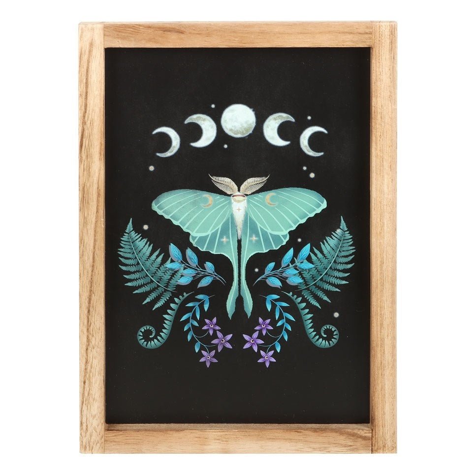 Wall Art Luna Moth Wooden Framed - MarshallsHealthShop