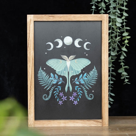 Wall Art Luna Moth Wooden Framed - MarshallsHealthShop