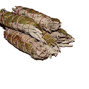 White Sage Cedar Smudge (1 Stick) - MarshallsHealthShop