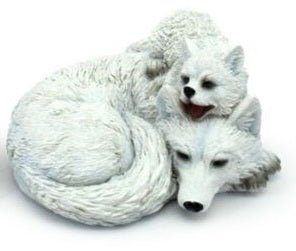 Wolf Mother & Puppy Curled Up# - 1st Stop Marshall's Health Shop, Gift Shop! - Heath and Natural Therapy New Brighton Christchurch - Naturopath#