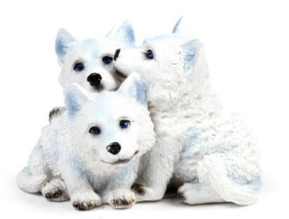 Wolf Puppies Trio# - 1st Stop Marshall's Health Shop, Gift Shop! - Heath and Natural Therapy New Brighton Christchurch - Naturopath#