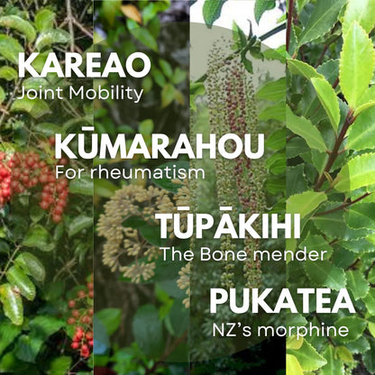 X - ZONE Joints Rub 100ml - 1st Stop Marshall's Health Shop, Gift Shop! - Heath and Natural Therapy New Brighton Christchurch - Naturopath