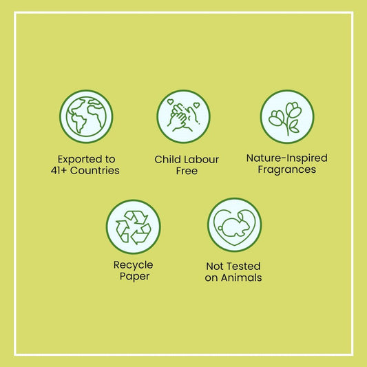 Zed Black Vanilla 20gm - MarshallsHealthShop