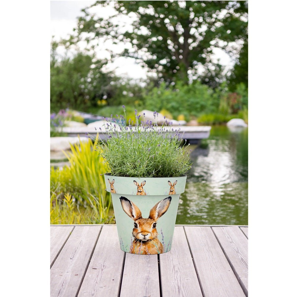 Zest Hare Garden Pots - 1st Stop Marshall's Health Shop, Gift Shop! - Heath and Natural Therapy New Brighton Christchurch - Naturopath